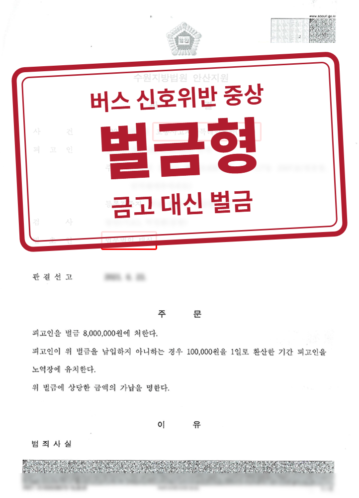 벌금 800만 원 결정문(개인정보 가림 처리)