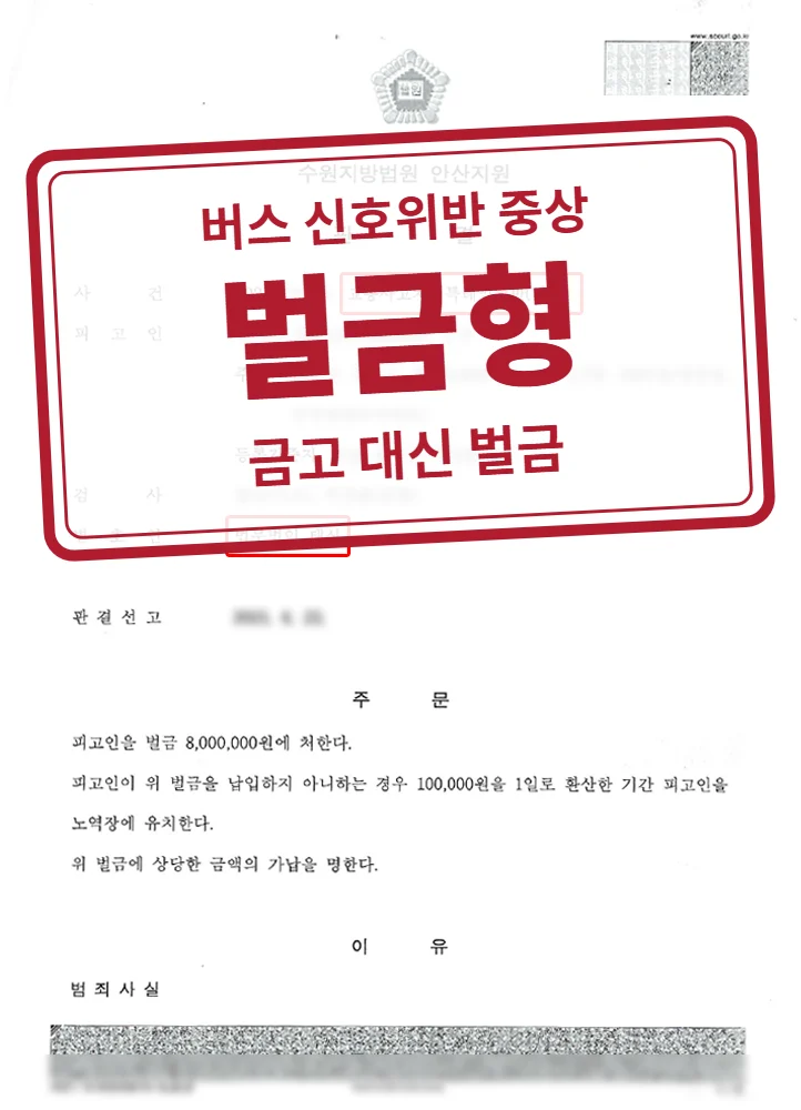 벌금 800만 원 결정문(개인정보 가림 처리)