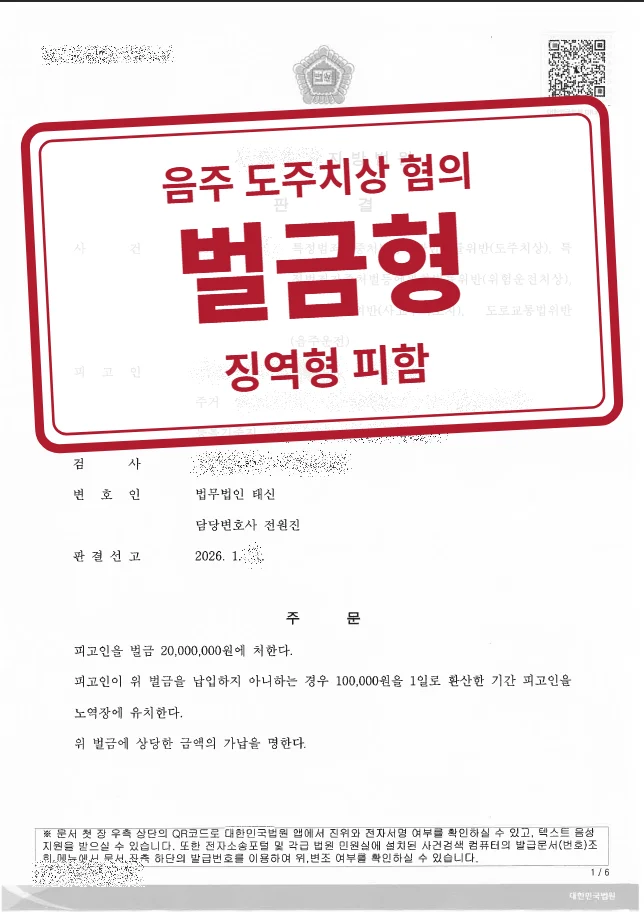 벌금 2,000만 원 결정문(개인정보 가림 처리)
