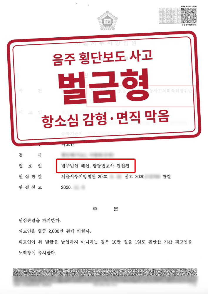 항소심 벌금 2,000만 원(1심 징역 8월·집행유예 2년 파기) 결정문(개인정보 가림 처리)