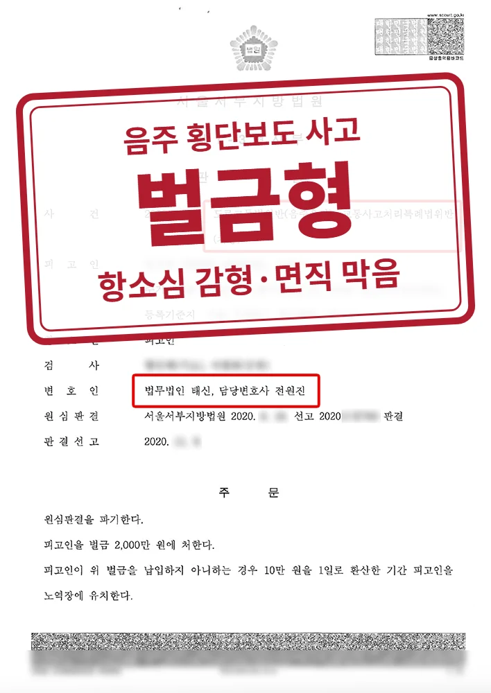 항소심 벌금 2,000만 원(1심 징역 8월·집행유예 2년 파기) 결정문(개인정보 가림 처리)