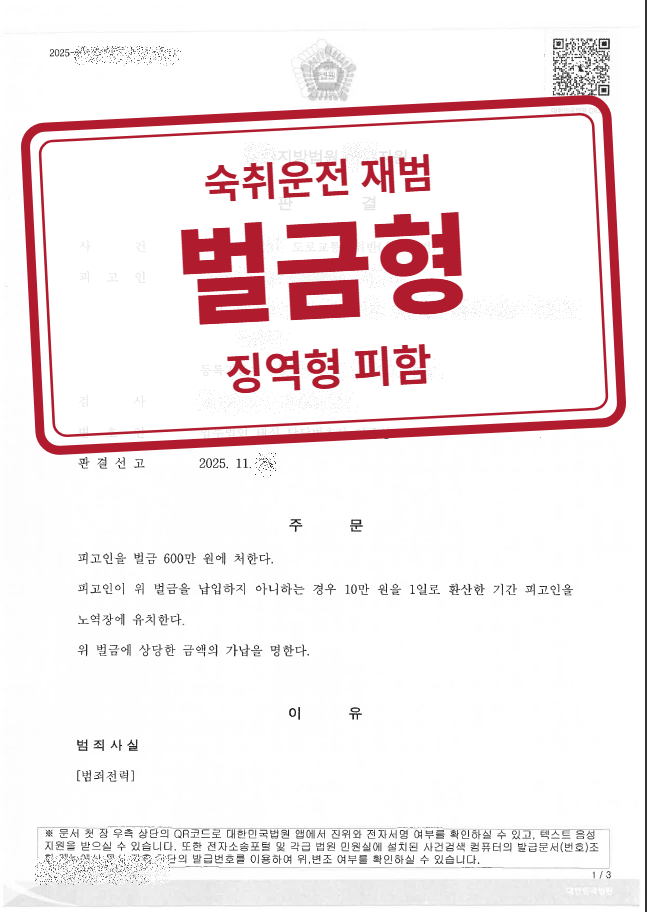 벌금 600만 원 결정문(개인정보 가림 처리)