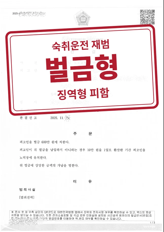 벌금 600만 원 결정문(개인정보 가림 처리)
