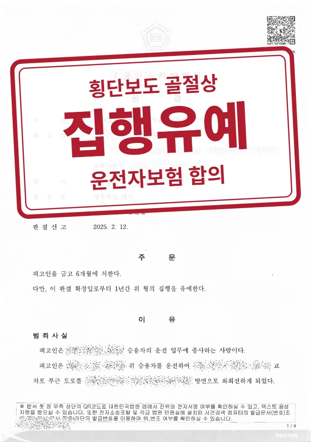 금고 6개월·집행유예 1년 결정문(개인정보 가림 처리)