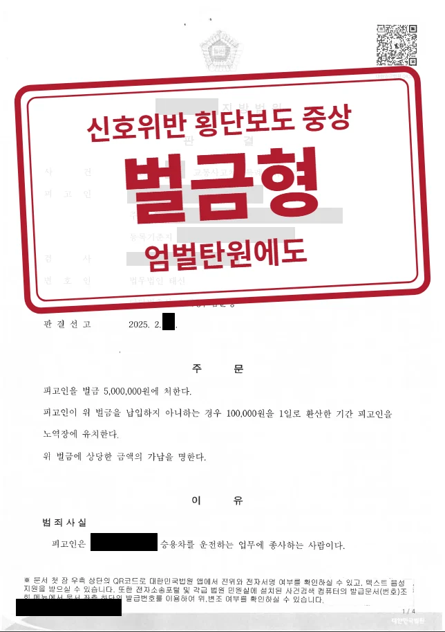 벌금 500만 원 결정문(개인정보 가림 처리)