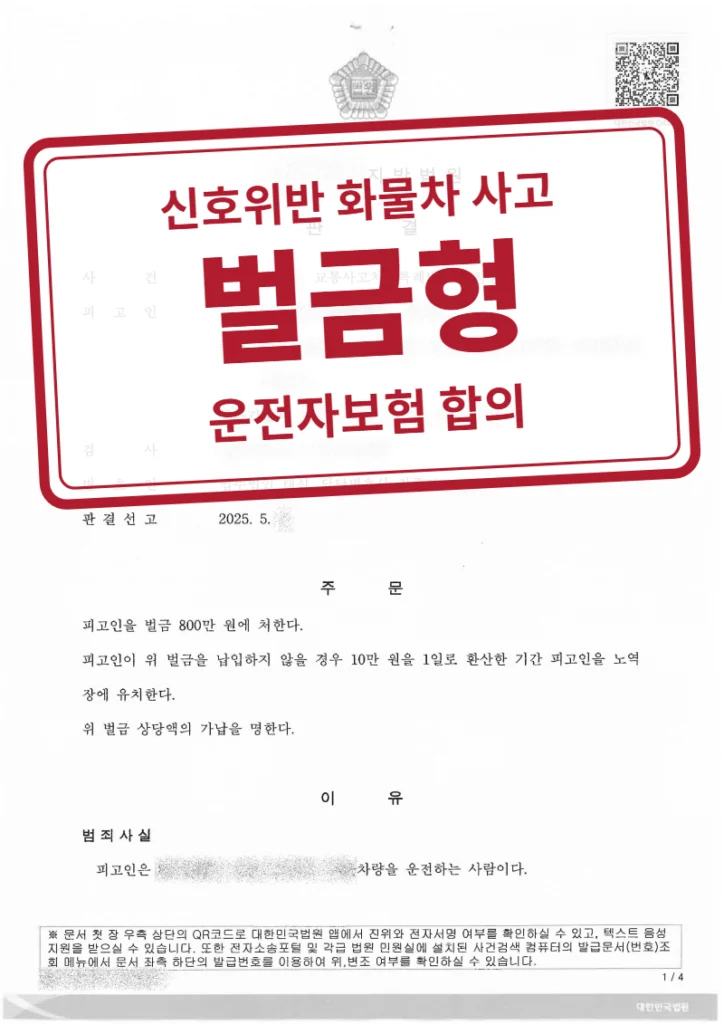벌금 800만 원 결정문(개인정보 가림 처리)
