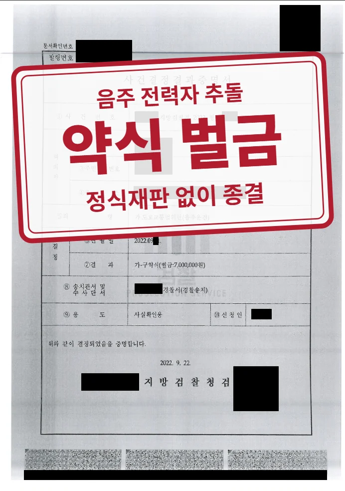 약식명령 벌금 700만 원 결정문(개인정보 가림 처리)
