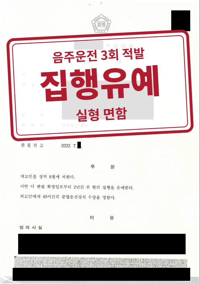징역 8월·집행유예 2년 결정문(개인정보 가림 처리)