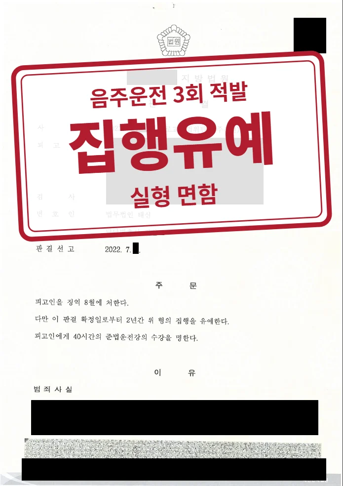 징역 8월·집행유예 2년 결정문(개인정보 가림 처리)