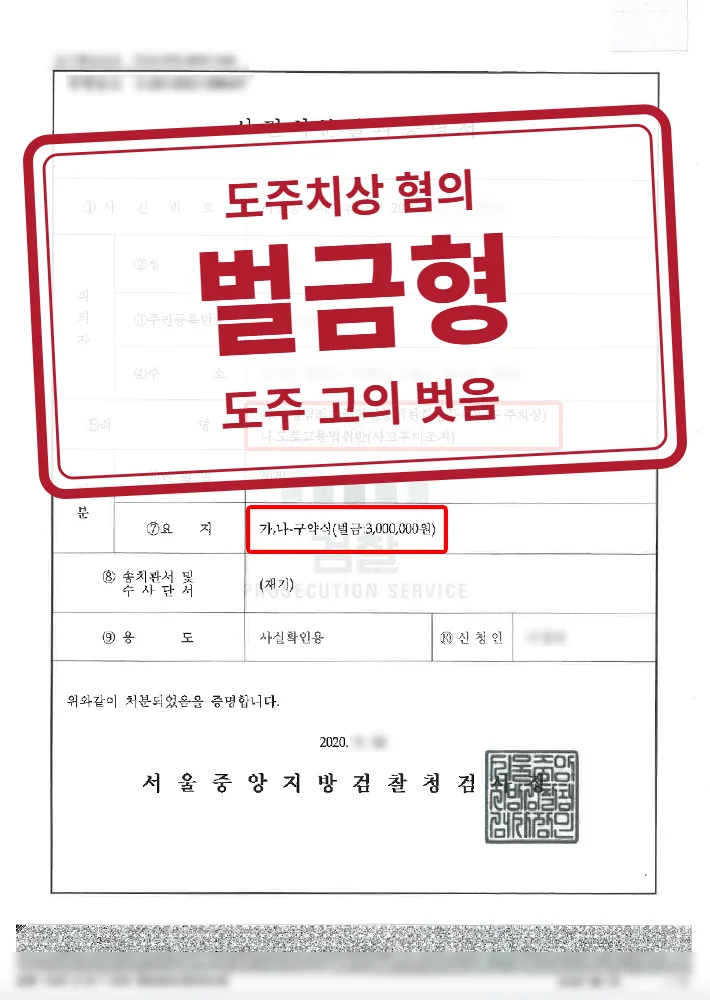 약식명령 벌금 300만 원 결정문(개인정보 가림 처리)